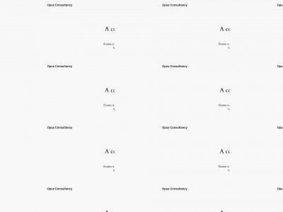 opusconsultancy.nl snapshot