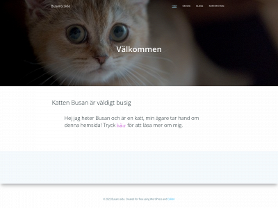 kudretözbek.tech snapshot