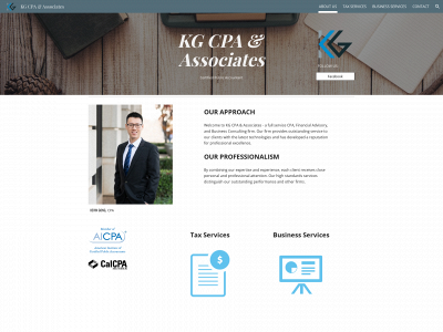 taxdefendercpa.com snapshot