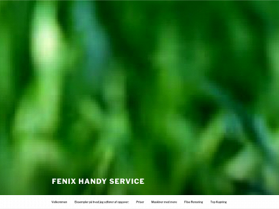 fenix.dk snapshot