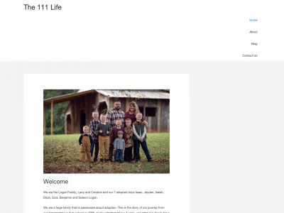the111life.com snapshot
