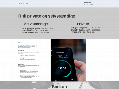 duborg-it.dk snapshot
