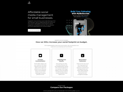 mybizsocials.com snapshot