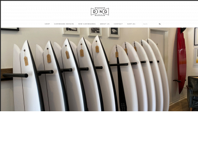 www.doctordingbyronbay.com.au snapshot
