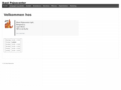 pejseservice.dk snapshot