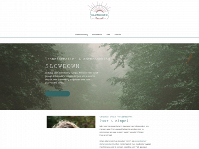 slowdown-alphenaandenrijn.nl snapshot