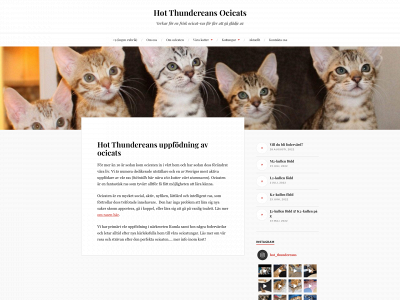thundereans.com snapshot