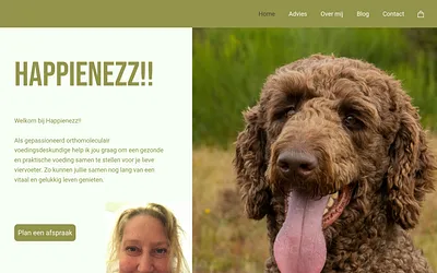 happienezz.nl snapshot