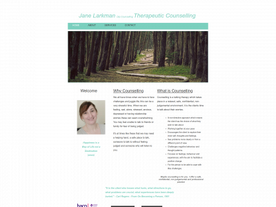janelarkman.co.uk snapshot