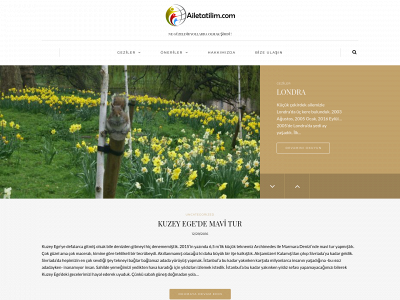 ailetatilim.com snapshot