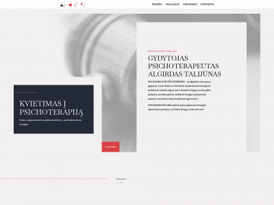 psichoterapijairpsichoanalitineterapija.lt snapshot