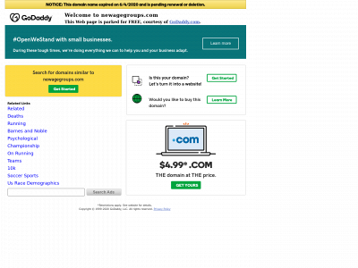 newagegroups.com snapshot