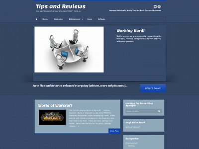 toptipsandreviews.com snapshot