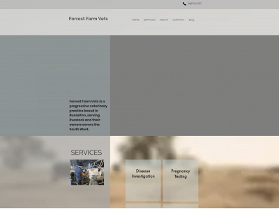 forrestvets.com.au snapshot