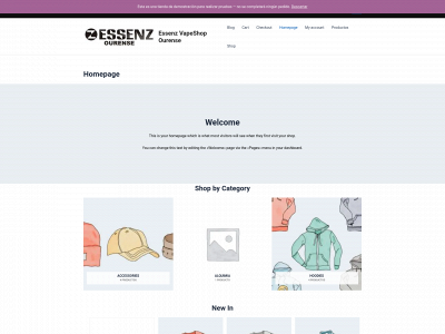 essenzourense.es snapshot