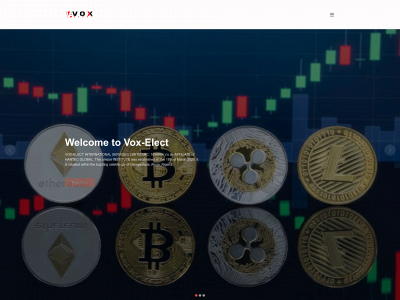 voxelectinternational.com snapshot