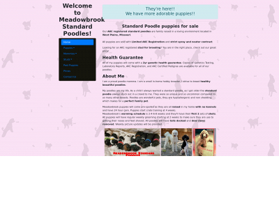 meadowbrookstandardpoodles.com snapshot