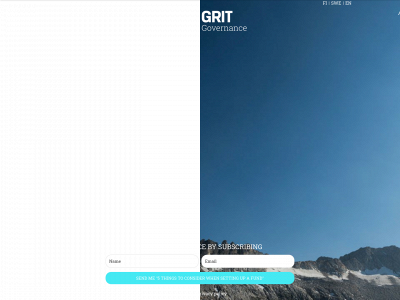 gritgovernance.com snapshot