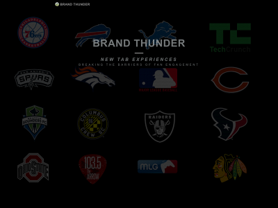 brandthunder.com snapshot