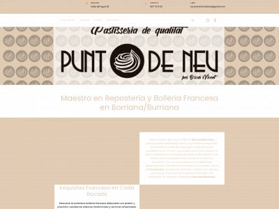 puntdeneu.com snapshot