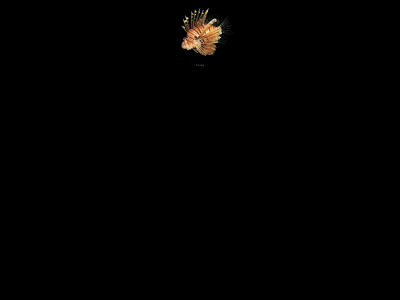 fishy.as snapshot