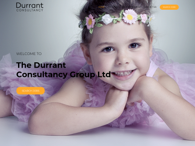 thedurrantconsultancygroup.co.uk snapshot