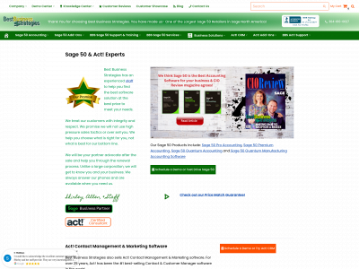 bestbusinessstrategies.com snapshot