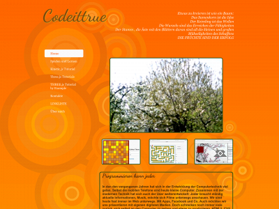 codeittrue.de snapshot