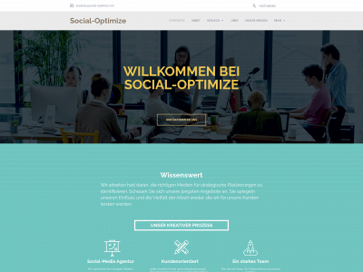 social-optimize.com snapshot