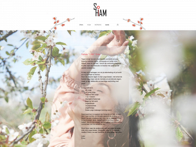 sohamsoiam.be snapshot