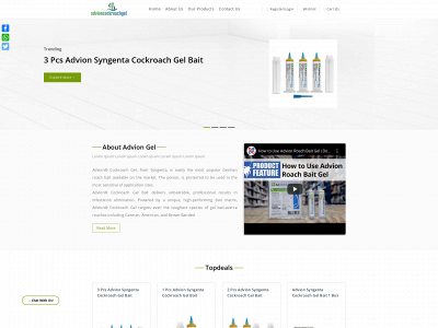 advioncockroachgel.com snapshot