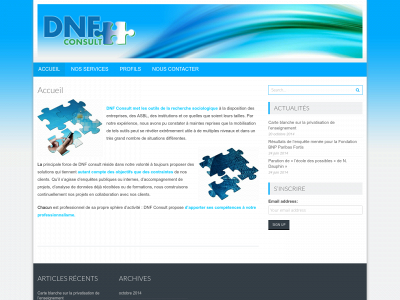 dnfconsult.com snapshot