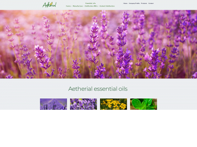 aetherialoils.com snapshot