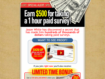 survey-takers.com snapshot