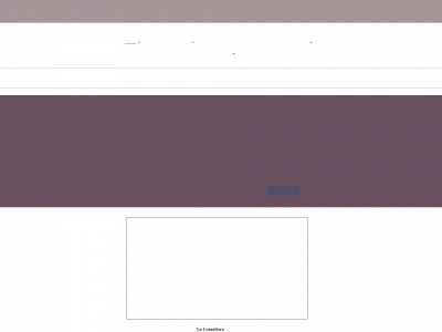 profesionalconsultant.com snapshot