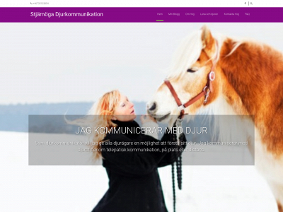 stjarnoga.com snapshot