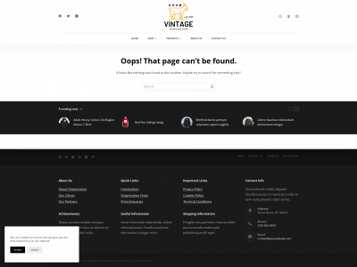 vintageblackcollege.com snapshot
