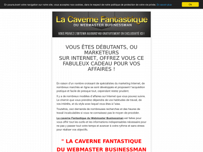conseils-revenus.com snapshot
