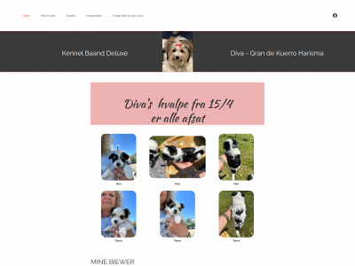 baanddeluxe.dk snapshot