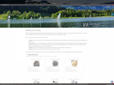 lavitala.com snapshot