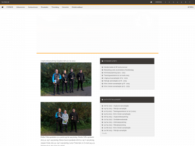 slagelseph.dk snapshot