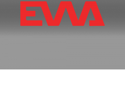 evvanigeria.org snapshot