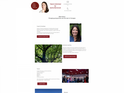 talentunlimited.be snapshot