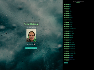 techitout.com snapshot