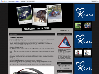 danneking.se snapshot