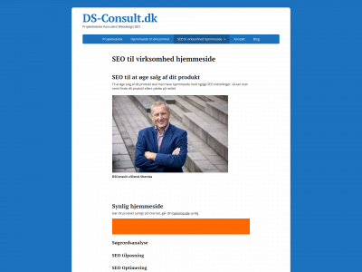 ds-consult.dk snapshot