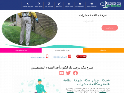 cleanercom.com snapshot
