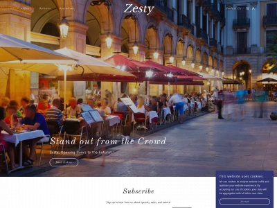 zestyservices.com snapshot