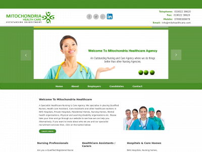 mitohealthcare.com snapshot