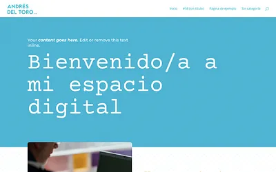 andresdeltoro.com snapshot
